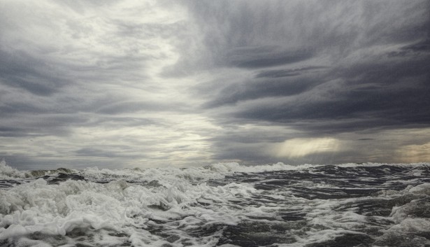 Dan Bergman Wins in ASMP 2020 Photo Contest