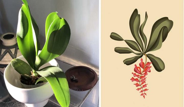 DART Interviews Illustrator Sergio Baradat