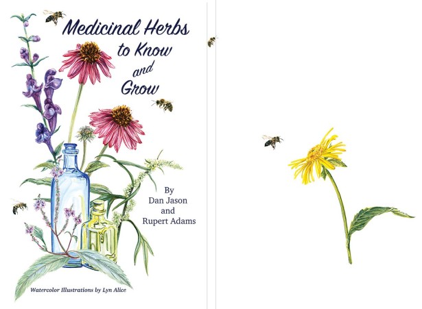 Lyn Alice's Medicinal Herbs to Know and Grow Book Cover and Interiors