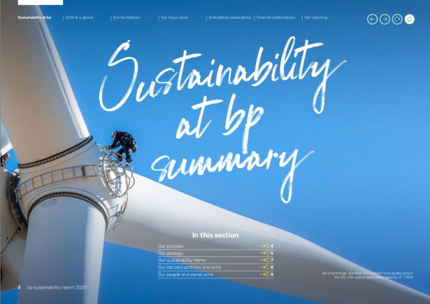 Marc Morrison's "Sustainability Report" for BP