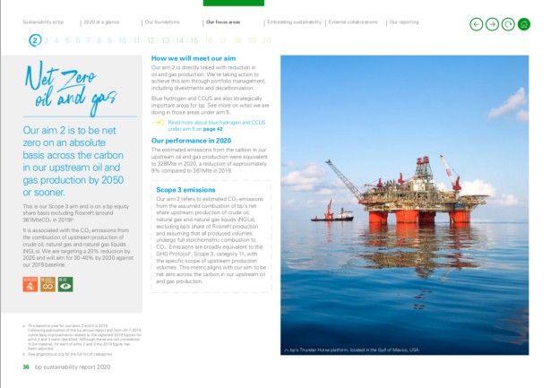 Marc Morrison's "Sustainability Report" for BP