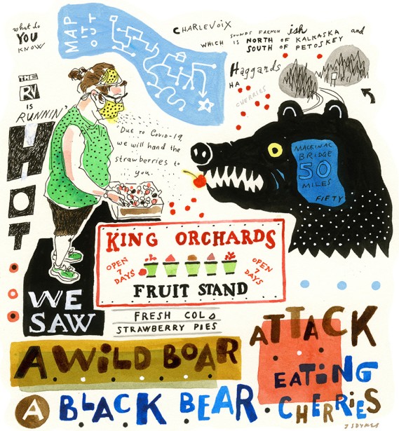 Dykes' Two Chosen Images for American Illustrations