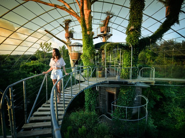 Steele Shoots the High Life, 25ft Above Ground