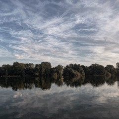 Dan-Bergman Captures Serenity In Prospect Park