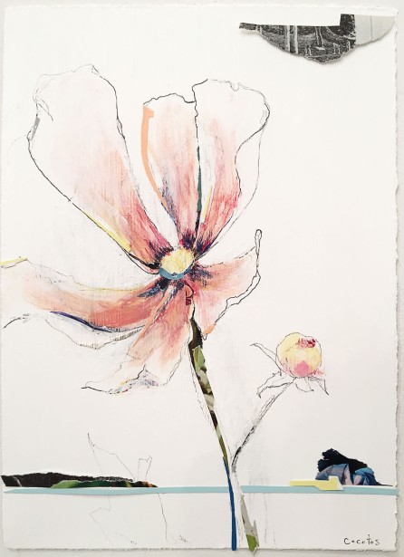 Collage Artist Tom Cocotos' "Friday Features"