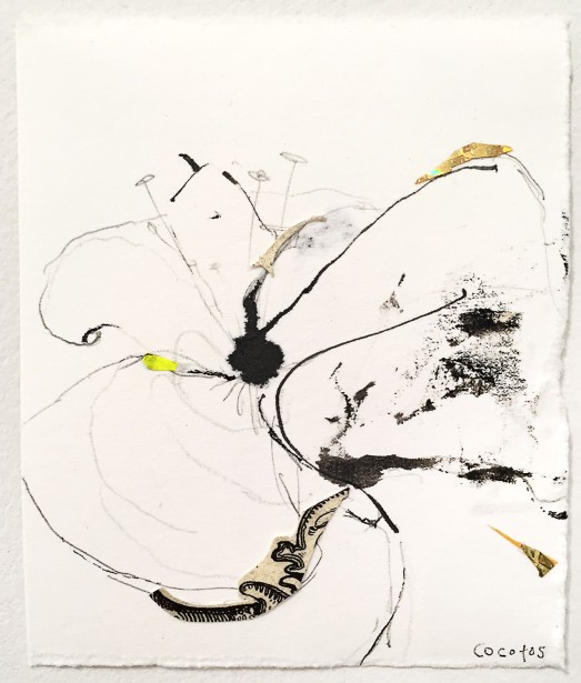 Tom Cocotos Continues "Friday Features" -- Mark Your Calendars!
