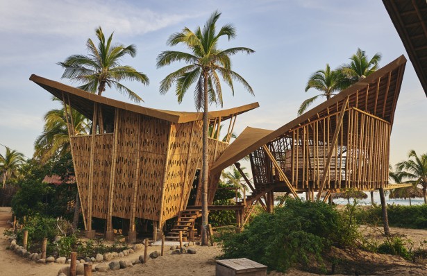 Kevin Steele's New Series from Playa Viva Eco-Resort