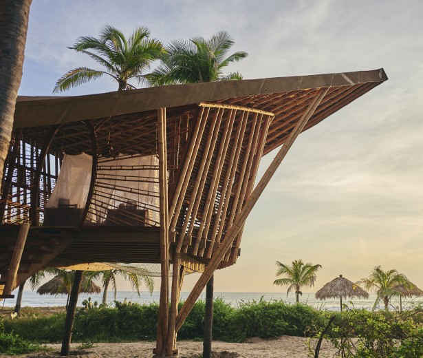 Kevin Steele's New Series from Playa Viva Eco-Resort