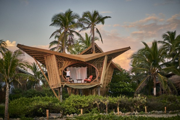 Kevin Steele's New Series from Playa Viva Eco-Resort