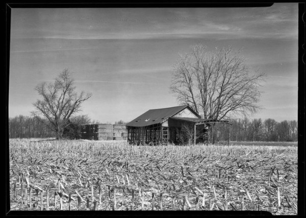 An Old Farm in Maryland