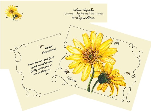 Lyn Alice's New Arnica Notecards for Salt Spring Seeds