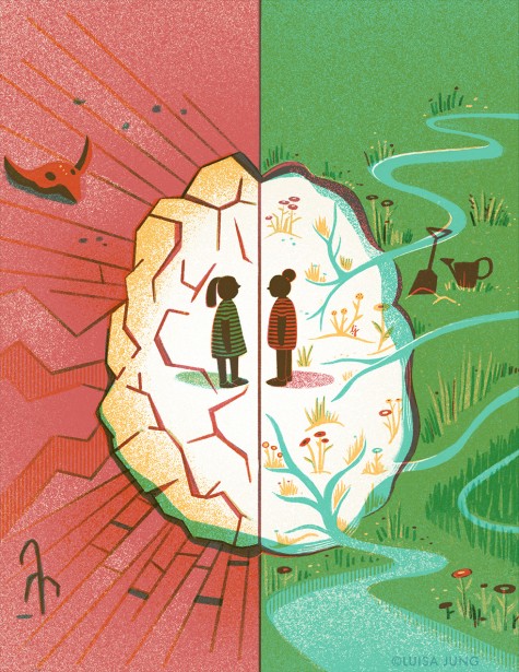 Poverty and Brain Development