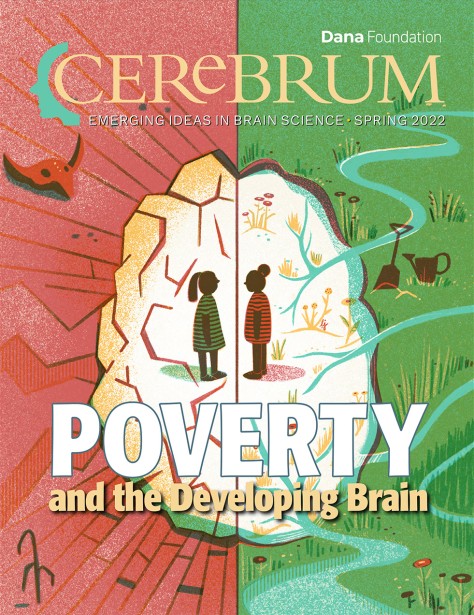 Poverty and Brain Development