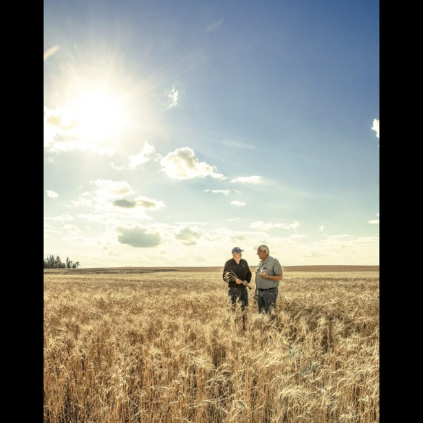 Marc Morrison's Barn Raising Photo Series