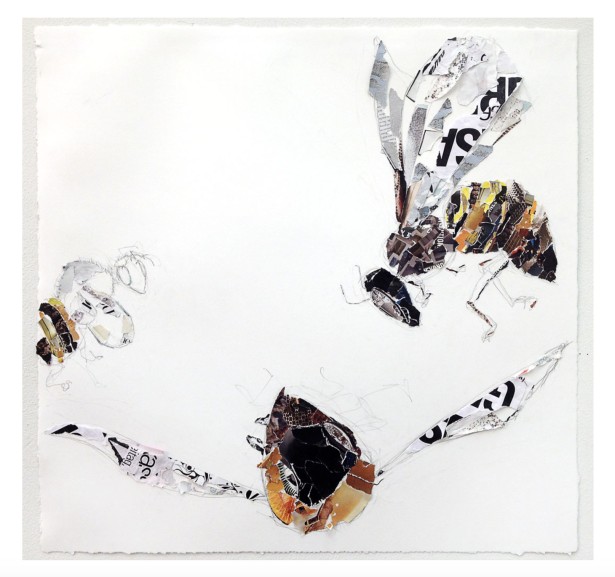 Cocotos Creates One Zinger of An Artwork (And Then A Few More)