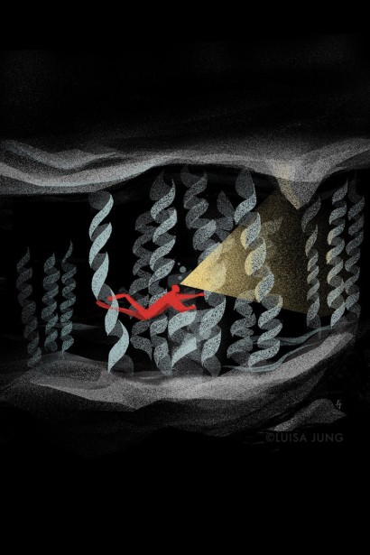 Shortlist V&A Illustration Awards