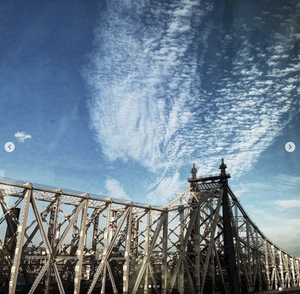 Dan-Bergman Heads to New York City's Roosevelt Island