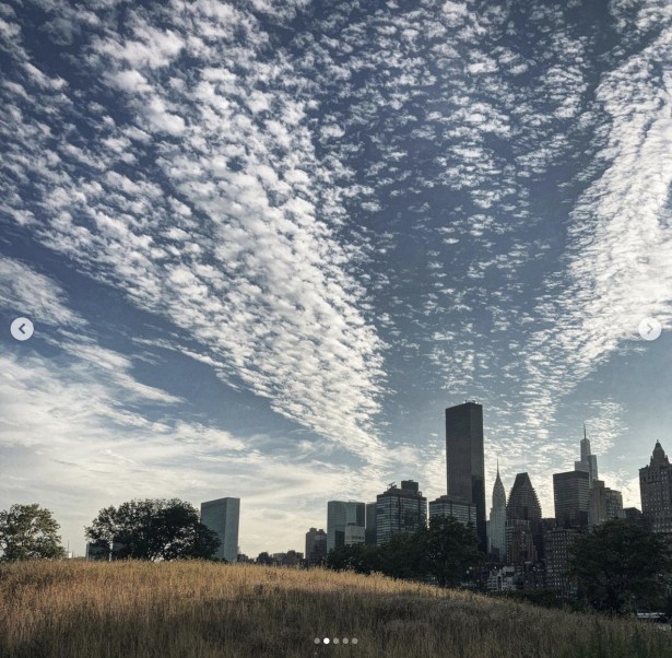 Dan-Bergman Heads to New York City's Roosevelt Island