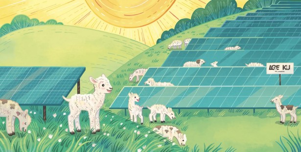 Anni Betts Creates Adorable Picture-Book for Green Energy Company