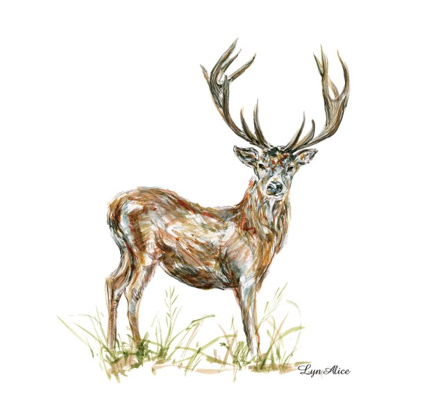 Lyn Alice Shares New British Deer Series