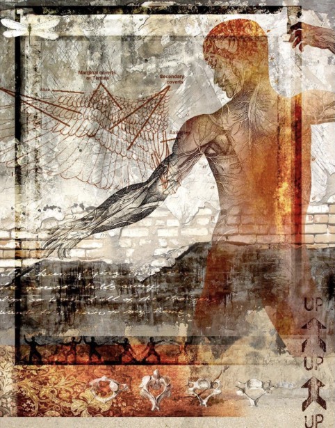 “Extension” by Alicia Buelow