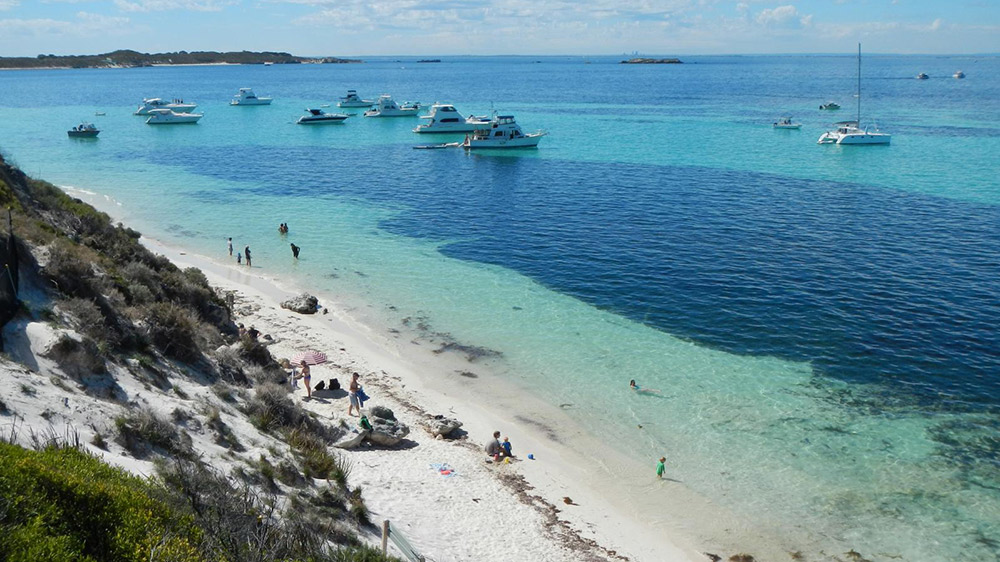 Rottnest island