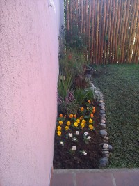 Paisajismo. diseños de jardines. provision completa de plantas. embellecimiento gral.