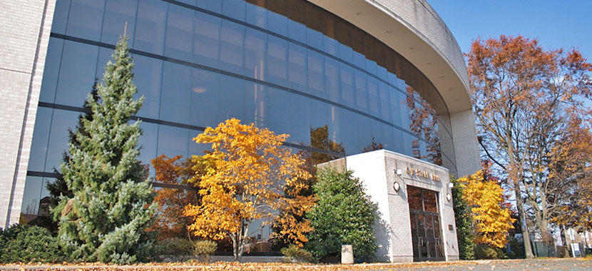 northeastern university supplement essays Select your desired schools and instantly get college application and admission essay questions get essay help with our essay question finder and get into your school. northeastern university supplement essays Select your desired schools and instantly get college application and admission essay questions get essay help with our essay question finder and get into your school.