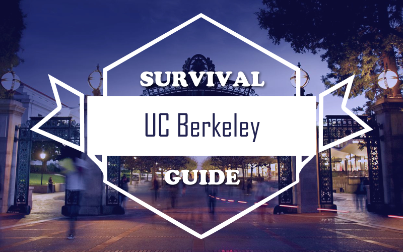 survival guide essay Essay hell’s writing survival kit this is my most recent writing guide it has everything a student needs to learn how to craft a winning narrative-style essay for. survival guide essay Essay hell’s writing survival kit this is my most recent writing guide it has everything a student needs to learn how to craft a winning narrative-style essay for.