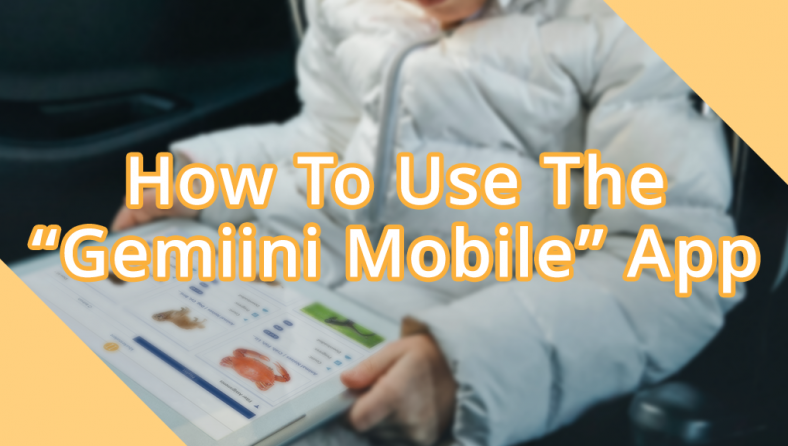 How To Use The "Gemiini Mobile" App