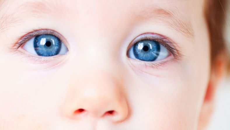 Top Signs of Autism | What Parents Need to Be Aware Of — Laura Kasbar featured on MyBaba.com