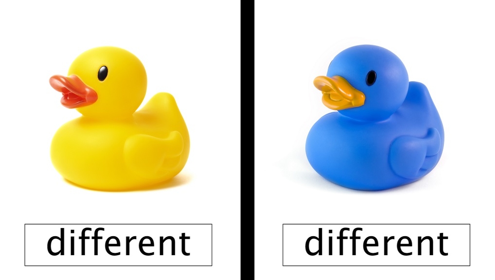 Weekly Content Update | Punctuation Rules, Adjectives, and Same ...