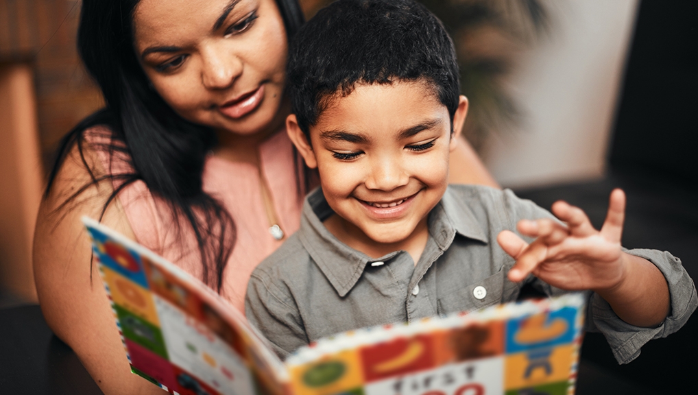 Book Reading Strategies Gemiini Systems