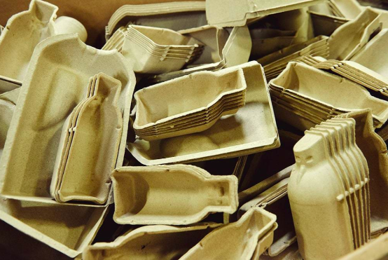 seed-phyto-nutrients-ecologic-sustainable-biodegradable-recycled-paper-packaging
