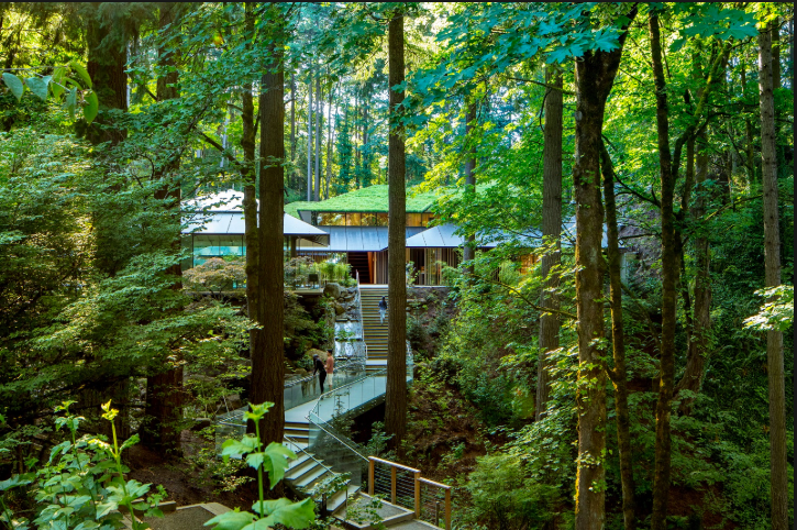 portland-japanese-garden-oregon-green-eco-culture-art