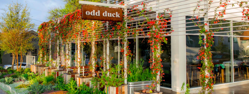odd-duck-austin-texas-farm-to-table-craft-cocktails-delicious-food-community