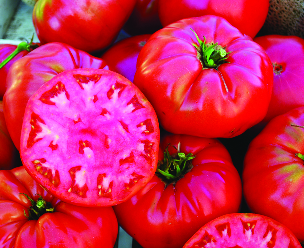 Gardening Heirloom Vegetables