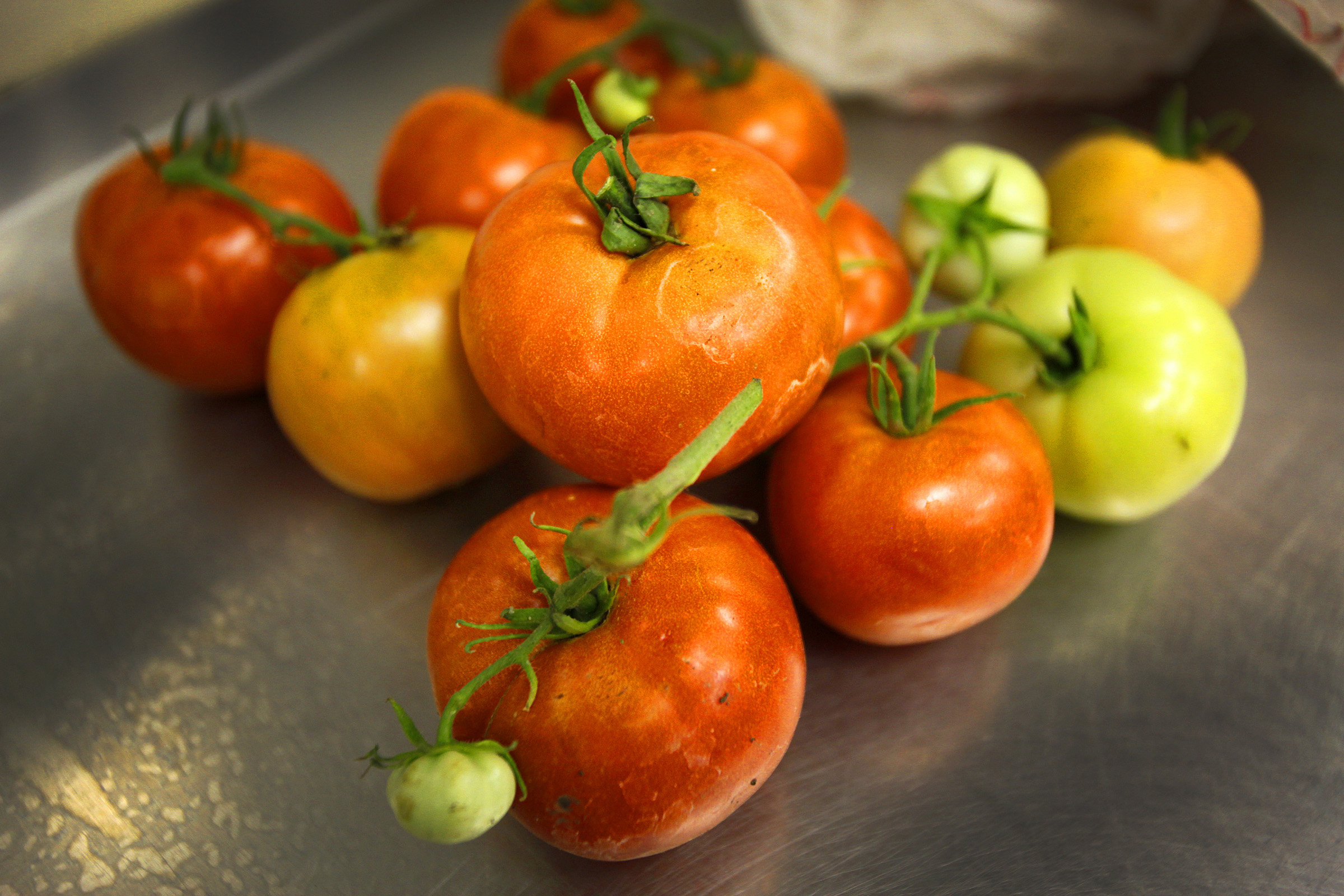 Sharing Produce