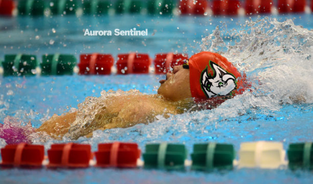 WMHigh.PhillipsBackStroke5194FB3200