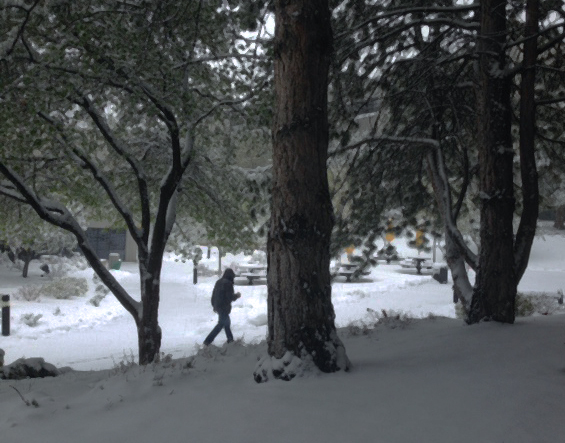 A man walks through about 4 inches of snow in central Aurora Monday morning May 12, 2014. A spring snowstorm in the region downed power lines, affecting more than 6,500 people in the city, officials said.