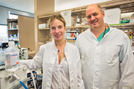 Dr. Almut Grenz (left) and Dr. Holger Eltzschig (right) pose in their laboratory, Jan. 28 at Anschutz Medical Campus. Grenz and Eltzchig have been involved in a research study that identified a group of molecules that has the potential for decreasing damage to organs during procedures that require anesthesia. (Marla R. Keown/Aurora Sentinel)