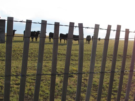 Food and Farm Stealing Grass