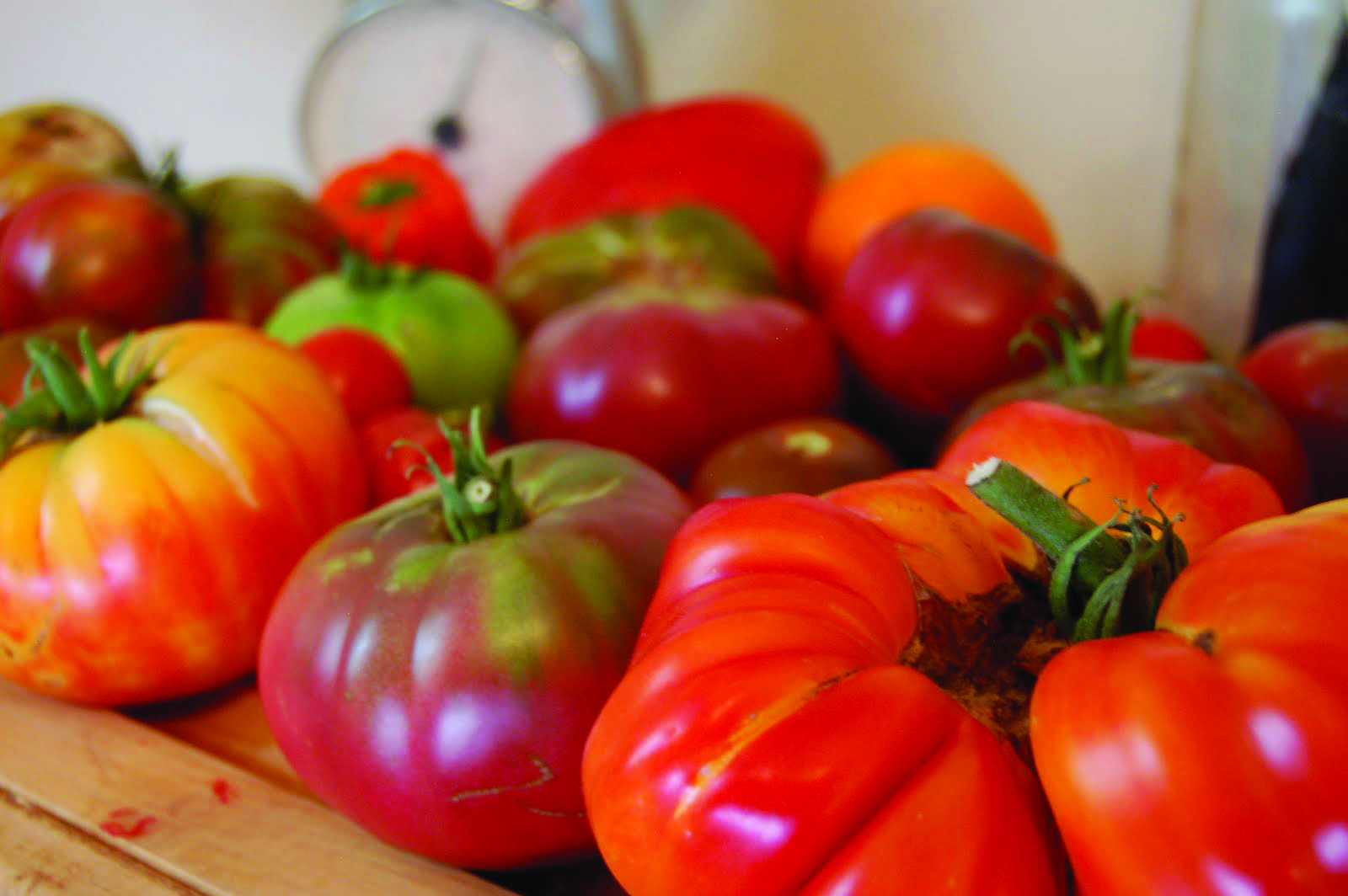 tomato