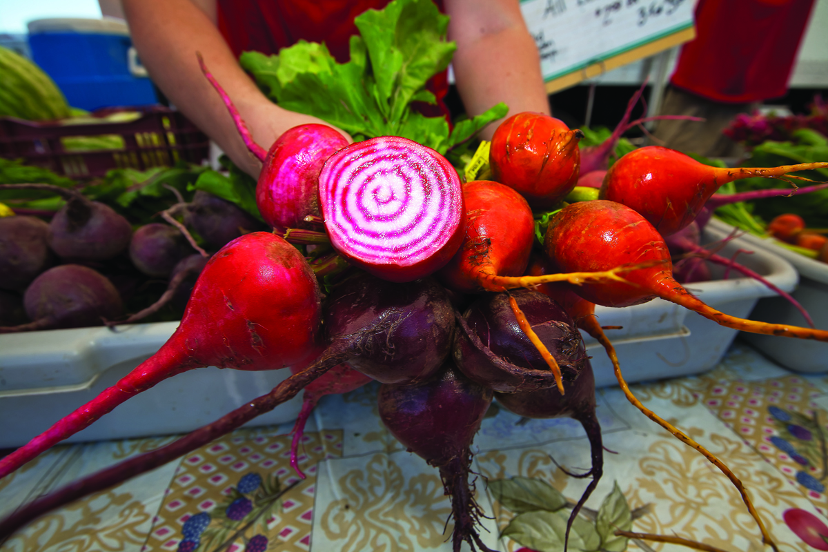 Havana Exchange Farmer's Market