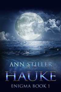 AnnStiller_Enigma_Book1_Hauke_Ebook_600x900