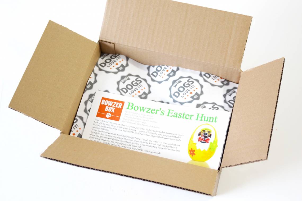Bowzer Box March 2016 2