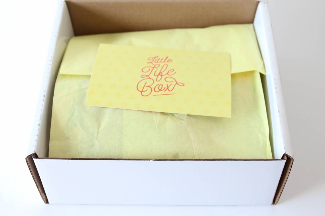 Little Life Box April 2016 2