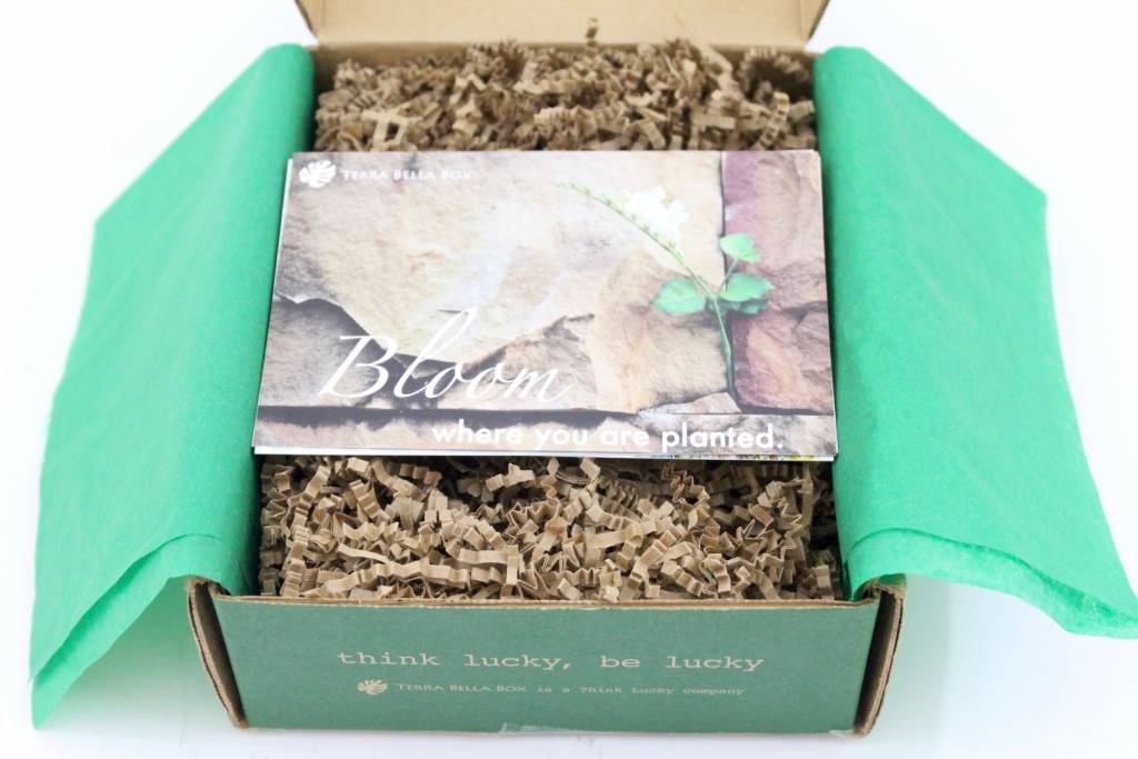 Terra Bella Box Review May 2016-3
