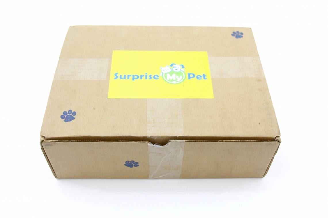 Surprise My Pet April 2016 1