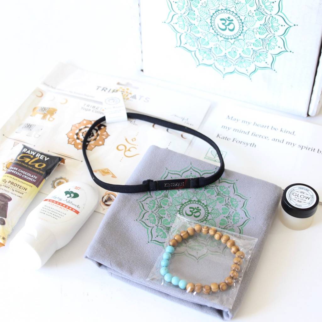 BuddhiBox Review June 2016 3